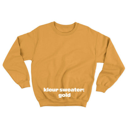 Sweater 'Rotown Vuur' • klein oranje logo midden